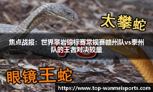 完美体育